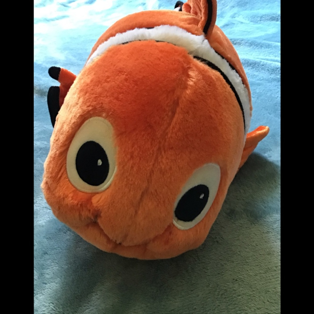 A Nemo/clown fish 🐟